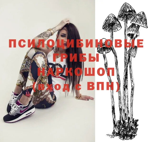 Псилоцибиновые грибы Psilocybe  Ипатово 